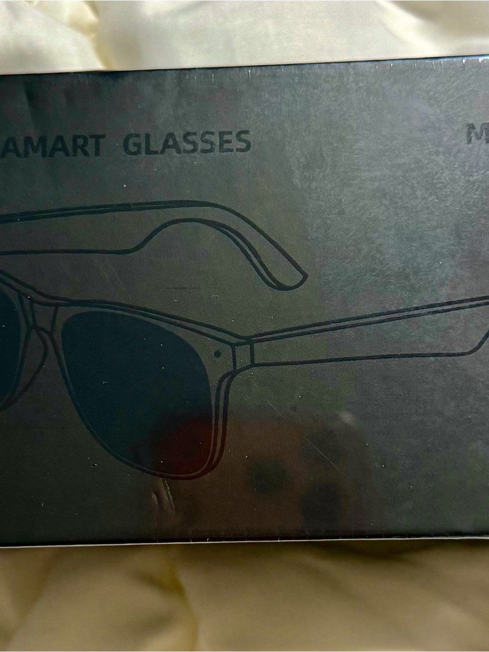 Smart Glasses Sunglasses Case - Black